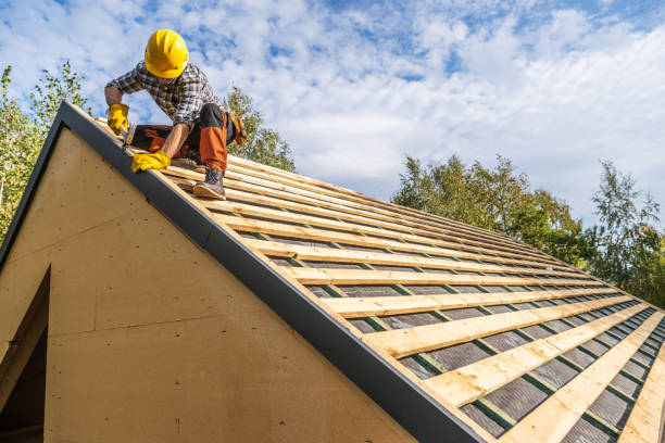 Best Metal Roofing Contractor  in Barton, NM