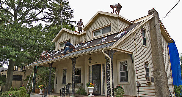 Best Roof Gutter Cleaning  in Barton, NM